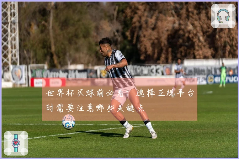 世界杯买球前必看：选择正规平台时需要注意哪些关键点
