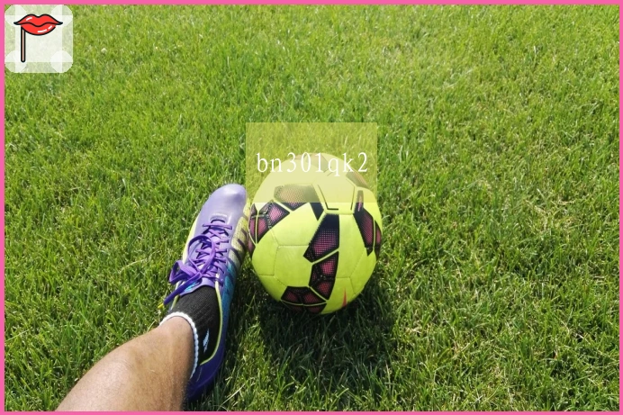 bn301qk2