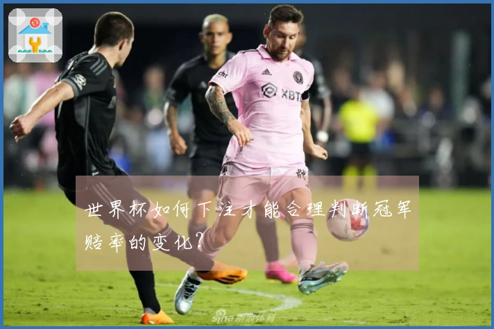 世界杯如何下注才能合理判断冠军赔率的变化？